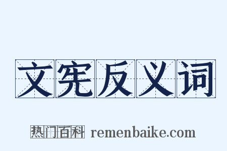 文宪反义词是什么意思的图片